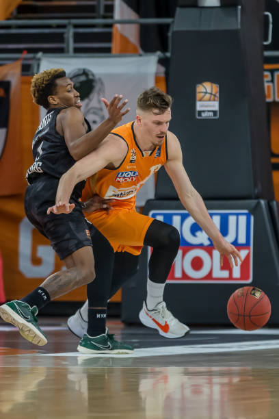 无疑为骆建 无疑为骆建